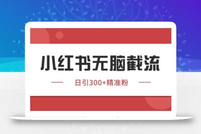 小红书只要你有同行就能获客，独家野路子获客玩法，暴力截流【揭秘】