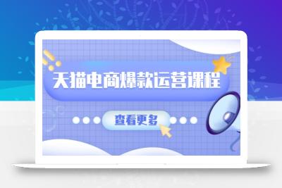 天猫电商爆款运营课程，爆款卖点提炼与流量实操，多套模型全面学习