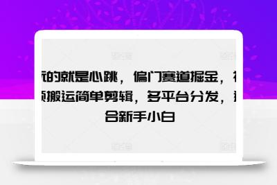 玩的就是心跳，偏门赛道掘金，视频搬运简单剪辑，多平台分发，适合新手小白【揭秘】