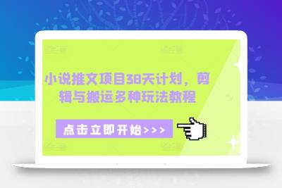 小说推文项目38天计划，剪辑与搬运多种玩法教程