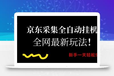 京东采集全自动挂G项目，全网最新玩法新手一天轻松5张【揭秘】