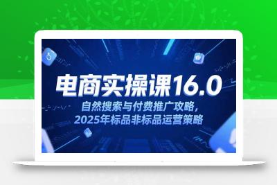 淘宝电商运营课16.0，自然搜索与付费推广攻略，2025年标品非标品运营策略