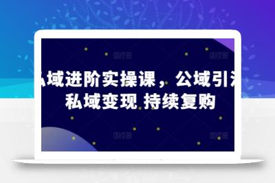 私域进阶实操课，公域引流 私域变现 持续复购