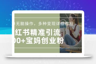 小红书混剪日引200+宝妈创业粉，简单无脑操作，多种变现详细教程