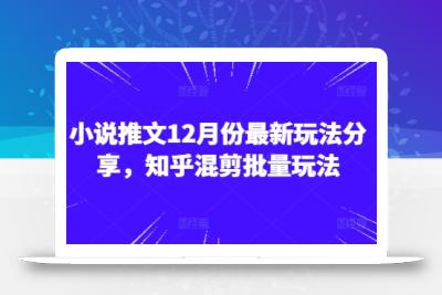 小说推文12月份最新玩法分享，知乎混剪批量玩法