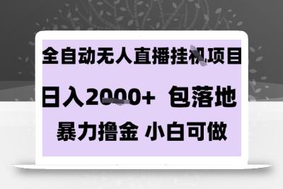 最新全自动抖音无人直播挂G项目，日入2k+ 包落地暴力撸金，小白可做【揭秘】
