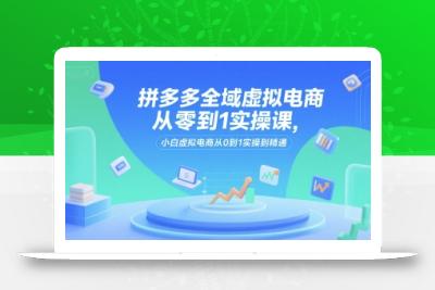 拼多多全域虚拟电商从零到1实操课，小白虚拟电商从0到1实操到精通