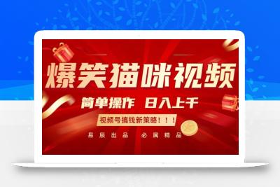 爆笑猫咪视频：简单操作，日入过K，视频号搞钱新策略【揭秘】