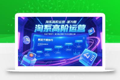 淘系高阶运营-第70期，标品干爆技巧，解决难点策略，大佬操盘方法