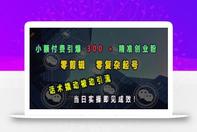小额付费引爆 300 + 精准创业粉，零剪辑、零复杂起号，话术撬动被动引流，当日实操即见成效